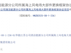 中標結(jié)果定了！2500MW海上風電場大部件更換項目